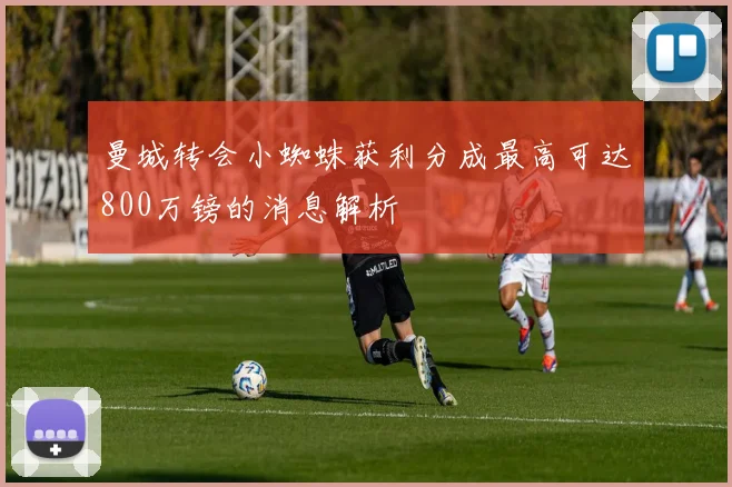曼城转会小蜘蛛获利分成最高可达800万镑的消息解析
